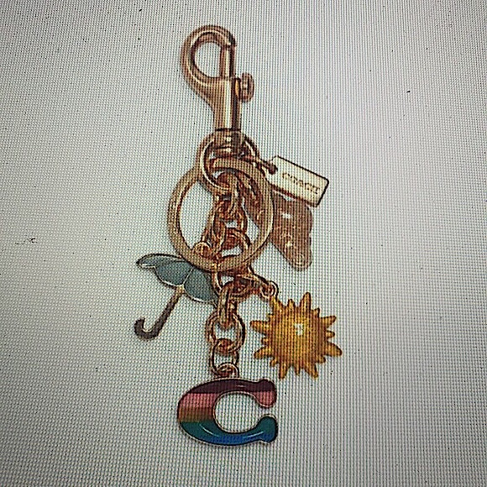 COACH - RAINBOW MIXED CHARMS BAG CHARM / KEYCHAIN - Picture 9 of 11